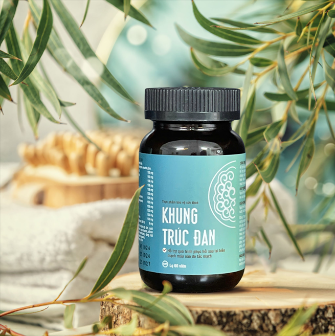 Khung Trúc Đan – Giải pháp vượt trội hỗ trợ tuần hoàn não và phục hồi sau tai biến